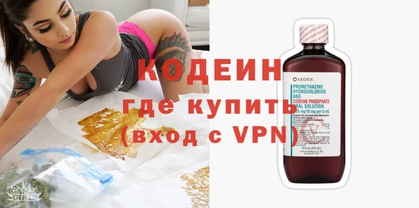 сатива Балахна
