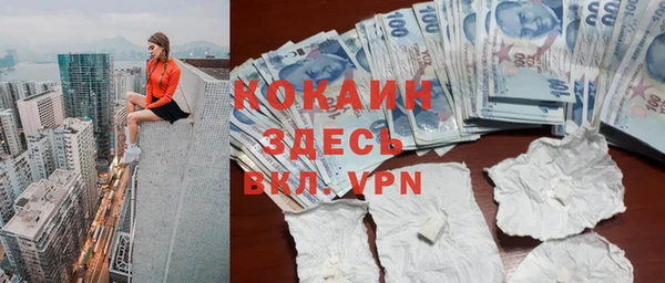 сатива Балахна