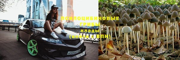 ешки Шарыпово